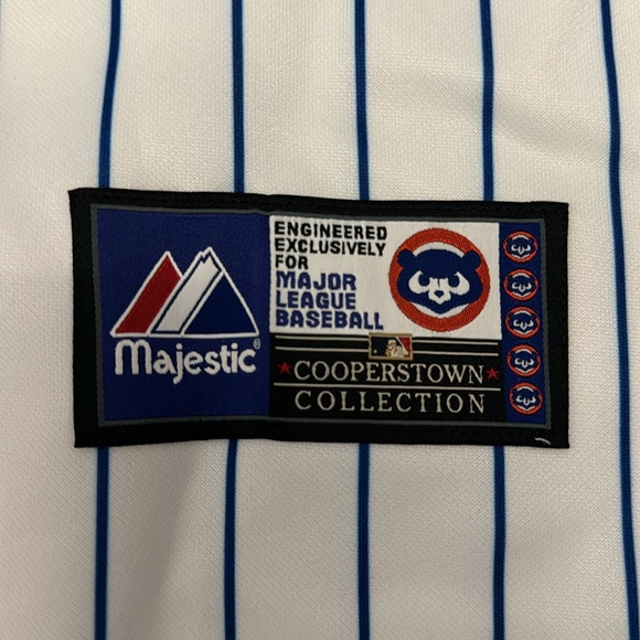 Ramirez 16 CUBS Pin Stripes Jersey - Picture 5 of 6